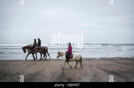 Saltburn by the Sea, North Yorkshire, England. United Kingdom. 21st January, 2017. Weather: A grey, calm and cold day on Saltburn beach on the North Yorkshire coast. PICTURED: local riding school`s weekly beach ride. Credit: ALAN DAWSON/Alamy Live News Stock Photo