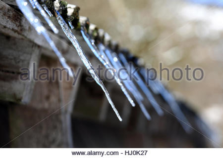 Icicles begin to melt as temperatures rise in the Alpine region of Germany. The weather has brought a welcome bout of sunshine to areas in Bavaria and the weather service predicts continuous sunshine over most of the state for the next few days. It will however continue to be very cold at night Credit: reallifephotos/Alamy Live News Stock Photo