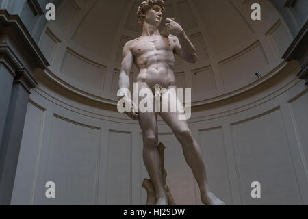 FLORENCE, ITALY, OCTOBER 24, 2015 : Michelangelo David statue in Accademia, october 24, 2015 in Florence, Italy Stock Photo