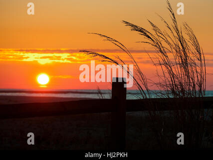 The sun rises over the Atlantic Ocean with a fence post and tall grasses in the foreground. Stock Photo