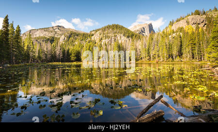 Hallett Peak reflection in Nymph Lake, in the Tyndall Gorge area of Rocky Mountain National Park, near Estes Park, Colorado. Stock Photo