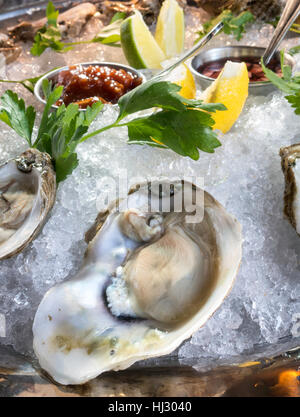 Raw Oysters on the Halfshell, Gourmet Restaurant Dining, USA Stock Photo