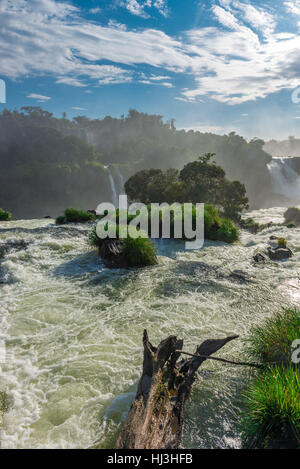 The majestic Iguazu Falls, one of the wonders of the world in Foz do Iguacu, Brazil Stock Photo