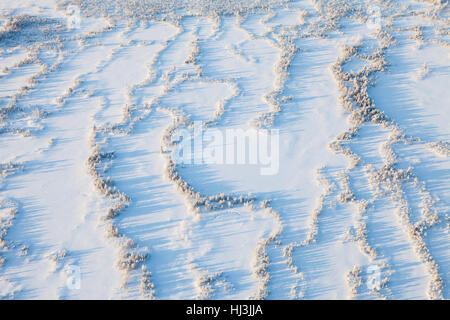 swampy area in winter Stock Photo