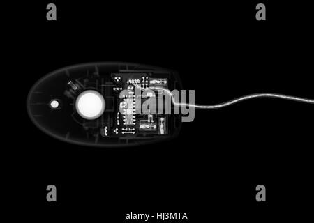 Computer mouse X-ray. Stock Photo