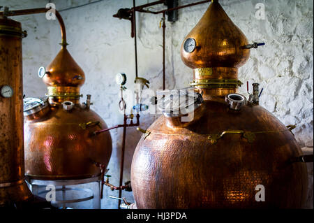 Various stages of gin distillation in Scotland. Stock Photo