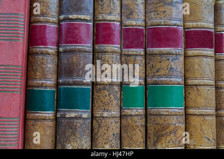 study, some, several, a few, object, education, story, research, antique, Stock Photo