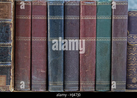 study, some, several, a few, object, education, story, research, antique, Stock Photo