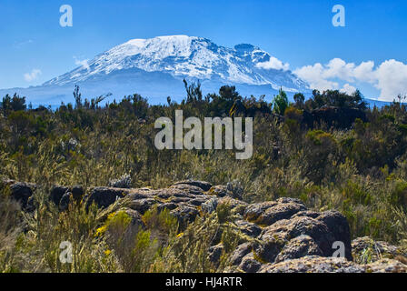 Mt Kilimanjaro, view of Kibo peak from Shira Plateau Stock Photo