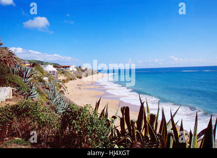 Caños de Meca beach. Barbate de Franco, Cadiz province, Andalucia, Spain. Stock Photo