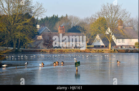 Brighton Sussex, UK. 22nd Jan, 2017. Falmer pond frozen over in the mist just north of Brighton as the cold weather continues throughout southern Britain with temperatures forecast to drop to minus 5 centigrade in some areas Credit: Simon Dack/Alamy Live News Stock Photo