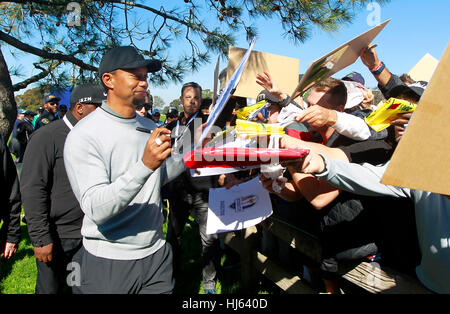 San Diego, USA. 25th Jan, 2017. Tiger Woods  signs autographs after playing in the Pro-Am of the Farmers Insurance Open at Torrey Pines Golf Course. Credit: K.C. Alfred/San Diego Union-Tribune/ZUMA Wire/Alamy Live News Stock Photo