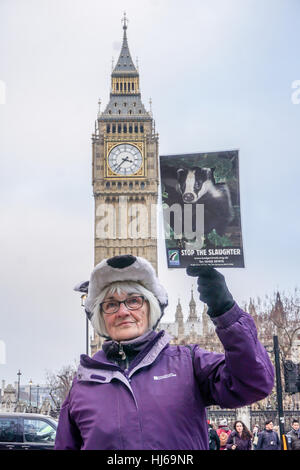 London UK. 26th January, 2017. Protesters holds a vigil Outside DEFRA against the culling of badgers in rememberence of the 10,866 Badgers that have been murdered in the 2016 killing season march to Parliament Yard for a rally,London,UK. Credit: See Li/Alamy Live News Stock Photo