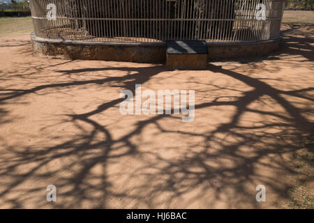 Shadow of 400 year old Baobab Tree with metal fence in India Stock Photo