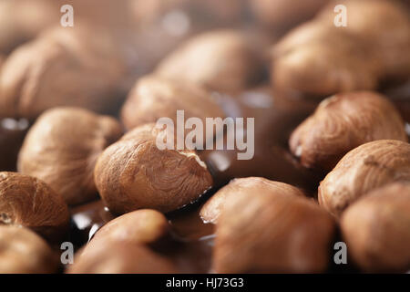 hazelnuts in melted dark premium chocolate Stock Photo