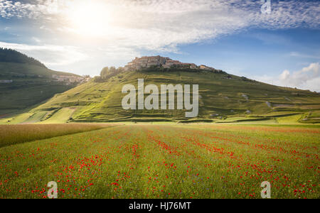 Red Poppies In Bloom In The Piano Grande Stock Photo - Alamy