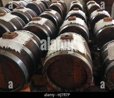 Barrels with balsamic vinegar waiting to mature. Stock Photo