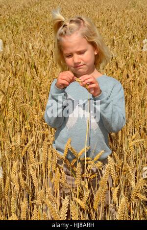 Young girl stands in wheat field, Sweden Stock Photo