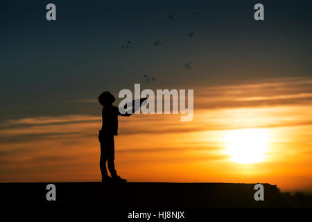 Silhouette of a boy with butterflies flying out of an open book Stock Photo