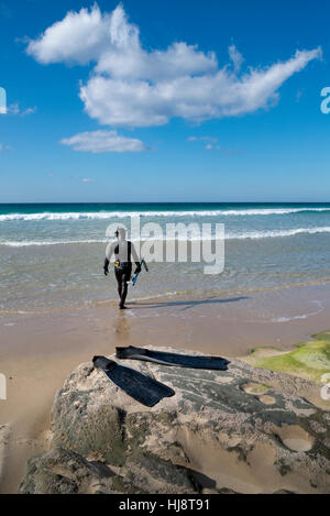 Spear fishing diver in wetsuit enters ocean water waves at Point Dume State  Beach near Malibu Los Angeles County California Stock Photo - Alamy