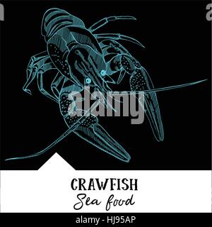 Hand drawn, vector illustration, design for a seafood restaurant menu. The picture shows the crawfish on a black background. Stock Vector