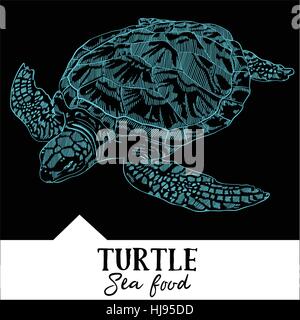 Hand drawn, vector illustration, design for a seafood restaurant menu. The picture shows the turtle on a black background. Stock Vector