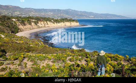 Hiker walks by wildflowers at Point Dume State Preserve Stock Photo
