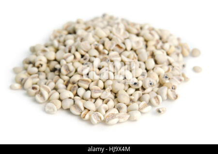 Millet rice bean or millet grains (Also called as pearl rice in India, Finger rice, Proso millet and foxtail) isolated on white background Stock Photo