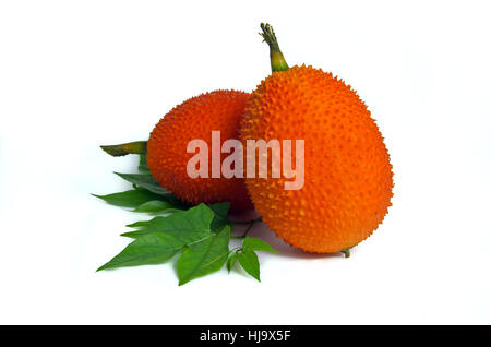 Gac Fruit isolated on white (Also named as Baby Jackfruit, Spiny Bitter Gac, Bitter Gourd, Sweet Ground, red melon, Cochinchin Goud, Momordica cochinc Stock Photo