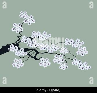 vector illustration of a cherry blossom branch Stock Vector Image & Art ...