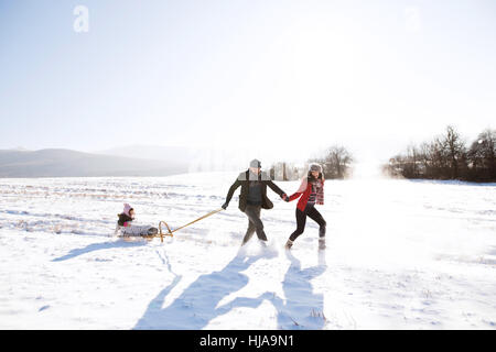 Father and mother pulling daughter on sledge, running. Winter na Stock Photo