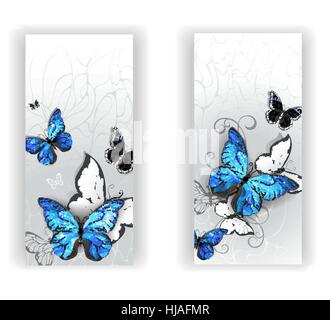 Two banners with blue butterflies morpho and black butterflies on gray textural background. Morpho. Stock Vector