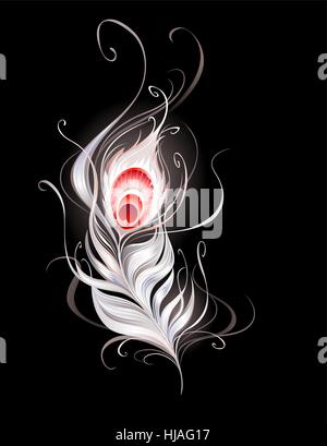 white peacock feather on a black background. Stock Vector