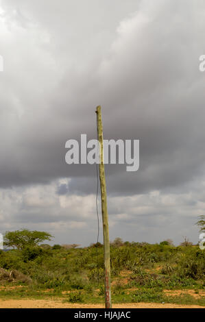 Old wooden electric pole with cable pendant on Mombasa road to Nairobi in Kenya Stock Photo