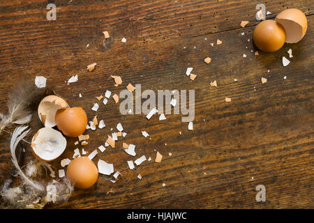 Several broken chicken eggs and pieces of eggshell and feathers on a rustic wooden board - background image Stock Photo