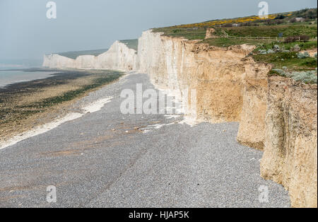 Seven Sisters Chalk Cliffs from Birling Gap on the Sussex Coast England Stock Photo