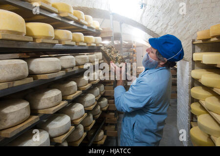 Crown cheese finish caves in Brooklyn nyc Stock Photo