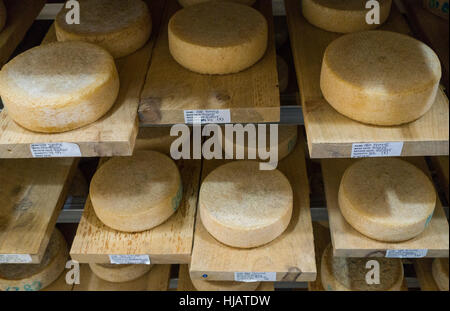 Crown cheese finish caves in Brooklyn nyc Stock Photo