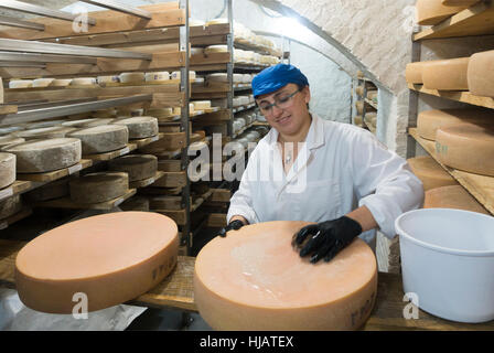 Crown cheese finish caves in Brooklyn nyc Stock Photo