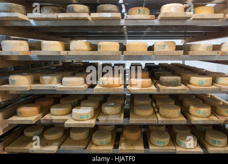 Crown cheese finish caves in Brooklyn nyc Stock Photo