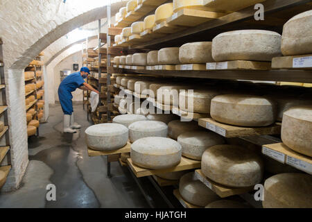 Crown cheese finish caves in Brooklyn nyc Stock Photo