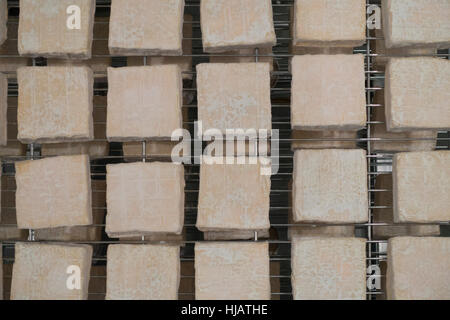 Crown cheese finish caves in Brooklyn nyc Stock Photo