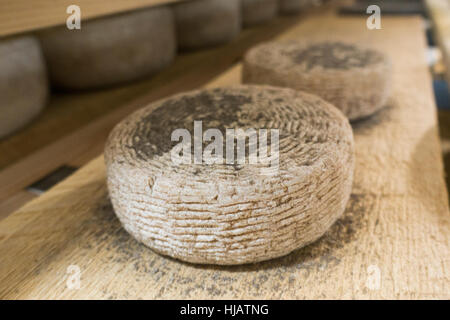 Crown cheese finish caves in Brooklyn nyc Stock Photo