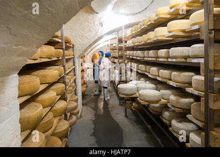 Crown cheese finish caves in Brooklyn nyc Stock Photo