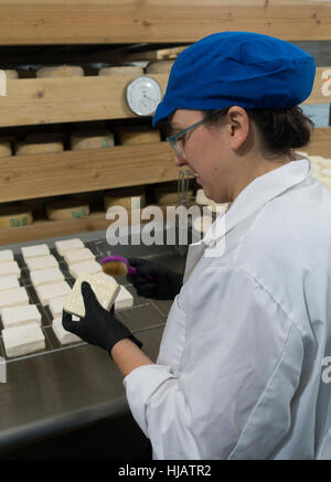 Crown cheese finish caves in Brooklyn nyc Stock Photo