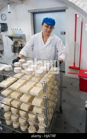 Crown cheese finish caves in Brooklyn nyc Stock Photo