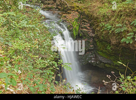 Sgwd Ddwli Isaf (Lower Gushing Falls) on River Nedd Fechan, between Pont Melin-fach and Pontneddfechan, Brecon Beacons National Park, South Wales, UK Stock Photo