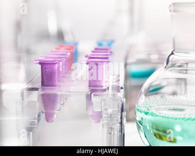 Microcentrifuge tubes awaiting samples during a analytical experiment in the laboratory Stock Photo