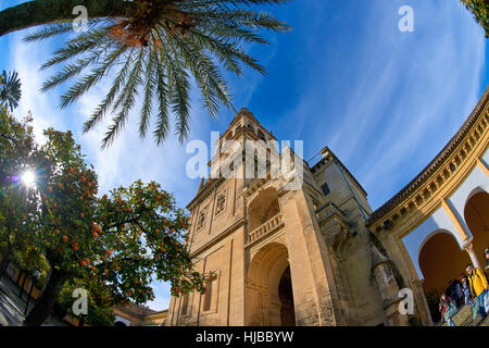 Mosque-cathedral, Córdoba, Andalusia, Spain, Europe Stock Photo