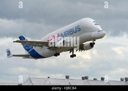 The Airbus A300-600ST (Super Transporter) or Beluga, is a version of the standard A300-600 wide-body airliner modified to carry Stock Photo